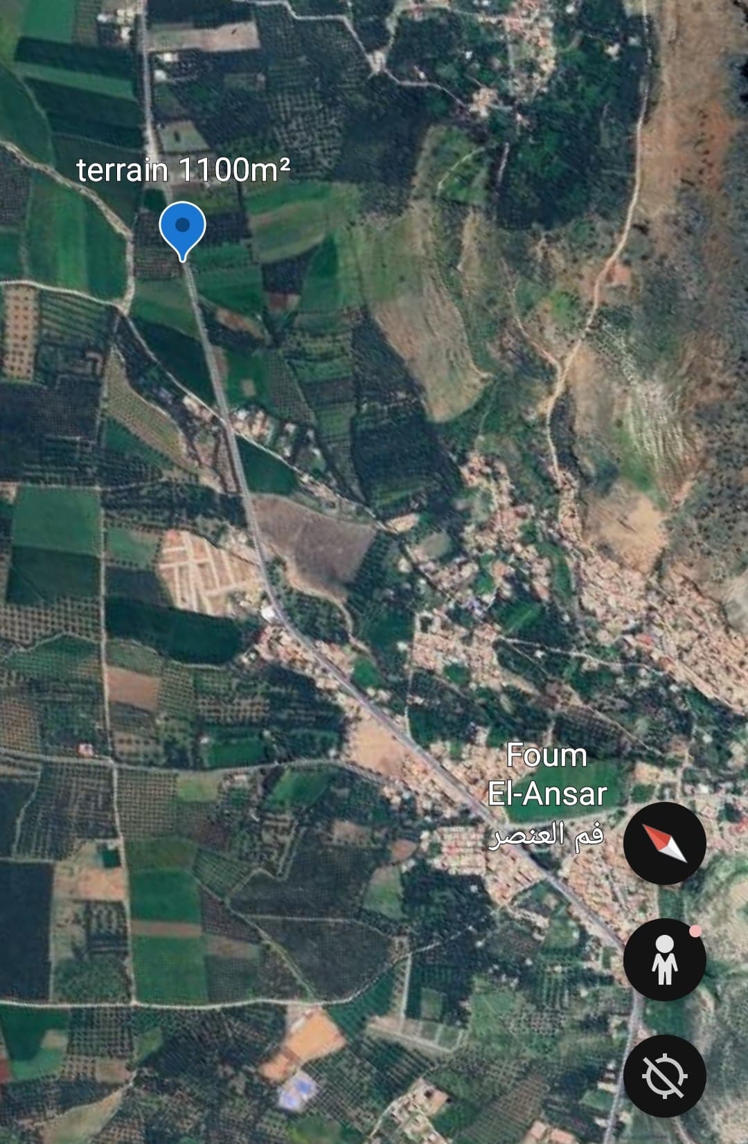 Terrain à vendre Foum el- ansar